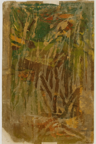 Whispers Beneath the Canopy